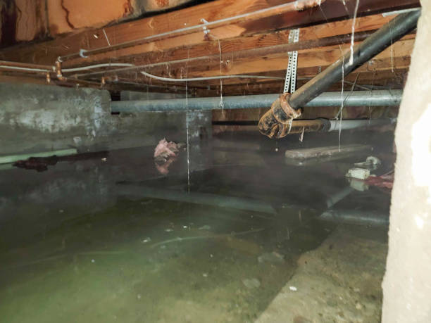 Commercial Water Damage Restoration